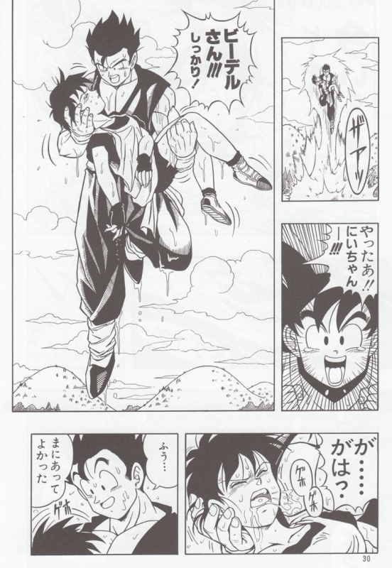[Rehabilitation (Garland)] DRAGONBALL H Bessatsu Soushuuhen (Dragon Ball Z)_028