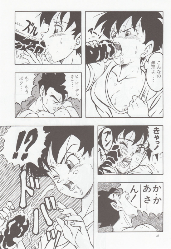 [Rehabilitation (Garland)] DRAGONBALL H Bessatsu Soushuuhen (Dragon Ball Z)_035