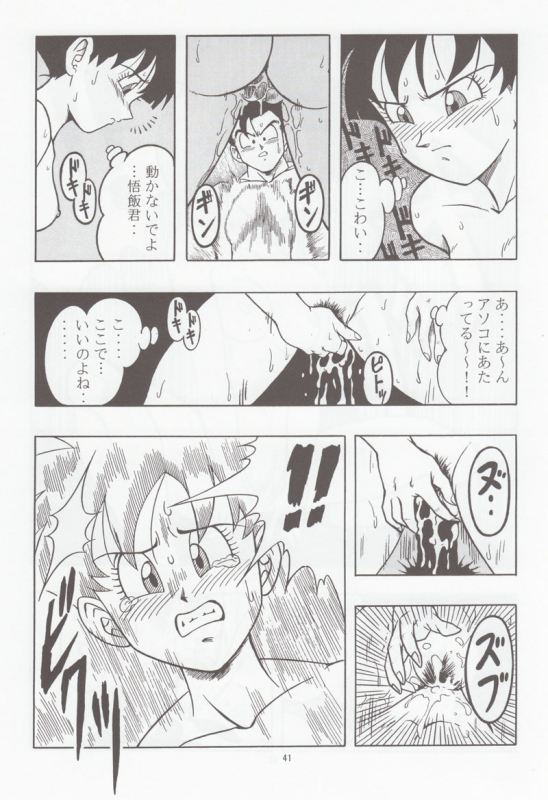 [Rehabilitation (Garland)] DRAGONBALL H Bessatsu Soushuuhen (Dragon Ball Z)_039