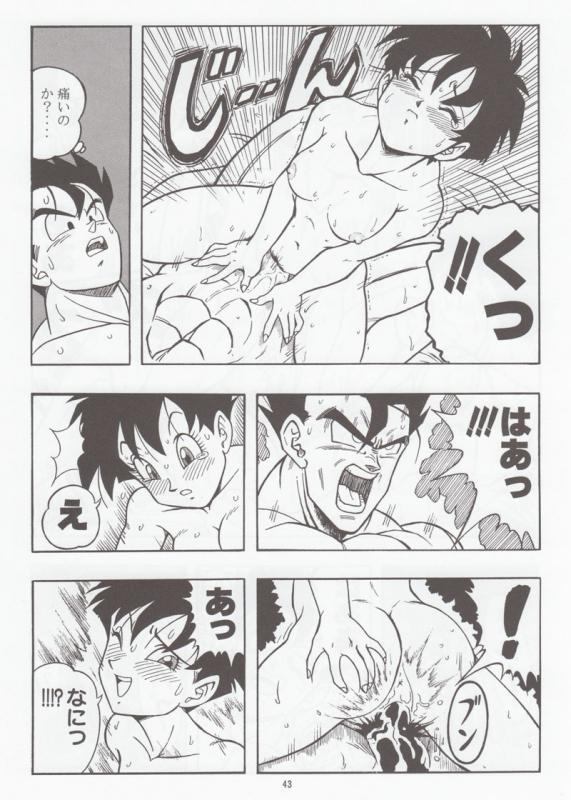 [Rehabilitation (Garland)] DRAGONBALL H Bessatsu Soushuuhen (Dragon Ball Z)_041