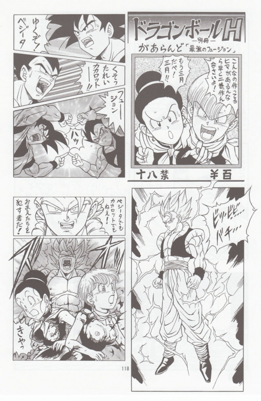 [Rehabilitation (Garland)] DRAGONBALL H Bessatsu Soushuuhen (Dragon Ball Z)_116