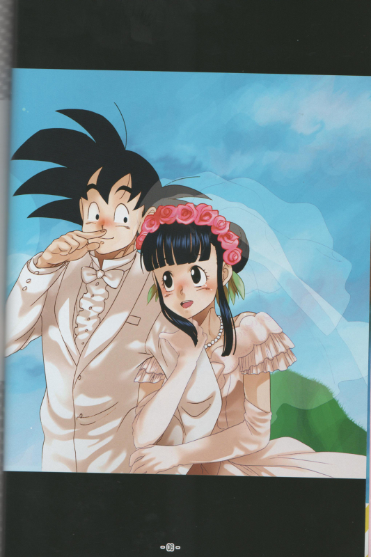 [S-FLAKE (Yukimitsu)] Shinmai Teishu to Koinyobo Z (Dragonball Z)_04