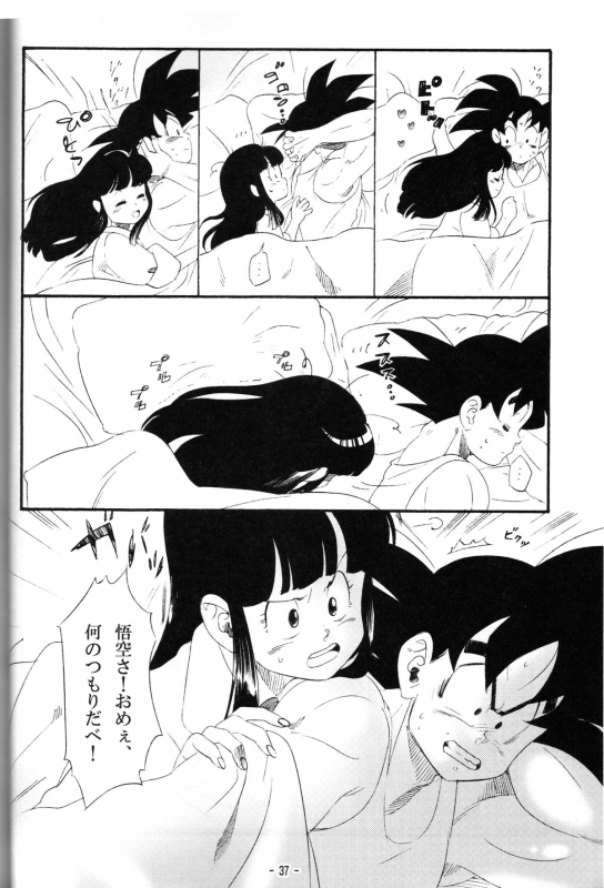 [S-FLAKE (Yukimitsu)] Shinmai Teishu to Koinyobo Z (Dragonball Z)_12
