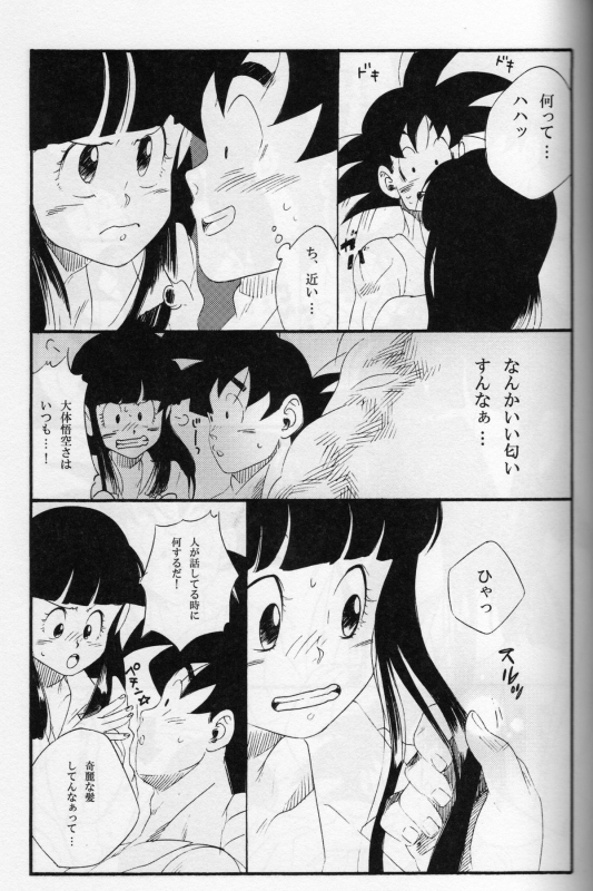 [S-FLAKE (Yukimitsu)] Shinmai Teishu to Koinyobo Z (Dragonball Z)_13