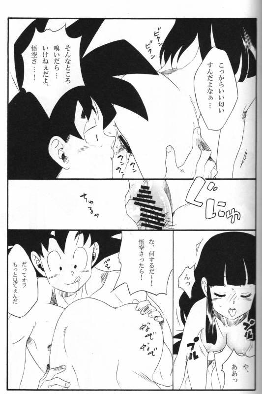 [S-FLAKE (Yukimitsu)] Shinmai Teishu to Koinyobo Z (Dragonball Z)_23