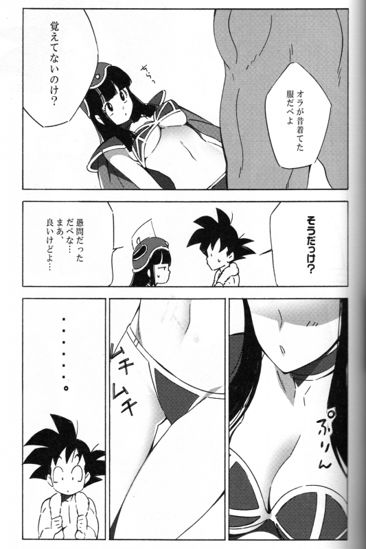 [S-FLAKE (Yukimitsu)] Shinmai Teishu to Koinyobo Z (Dragonball Z)_29