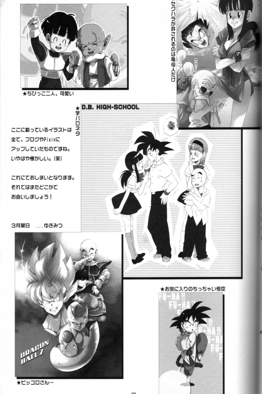 [S-FLAKE (Yukimitsu)] Shinmai Teishu to Koinyobo Z (Dragonball Z)_35