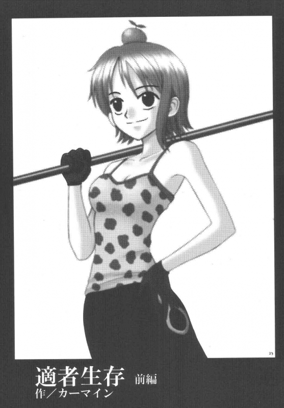 [Crimson Comics (Carmine)] Koukai Soushuuhen (One Piece)_021