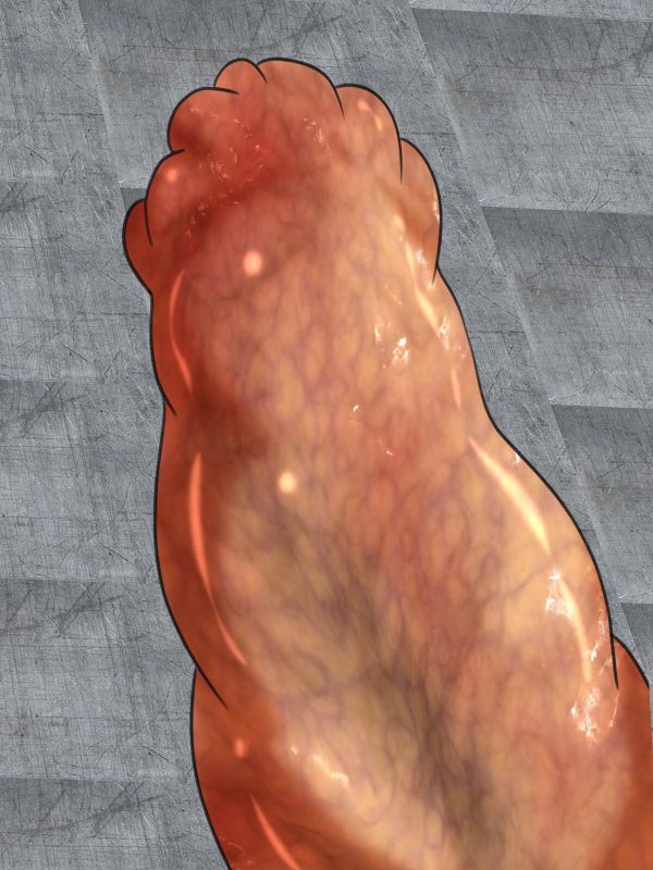 [Momo Mania] One Piece Marunomi Kyuushuu SEX (One Piece)_142