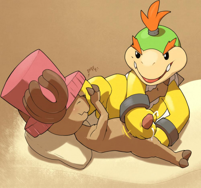 bowser jr.+koopa+tony tony chopper