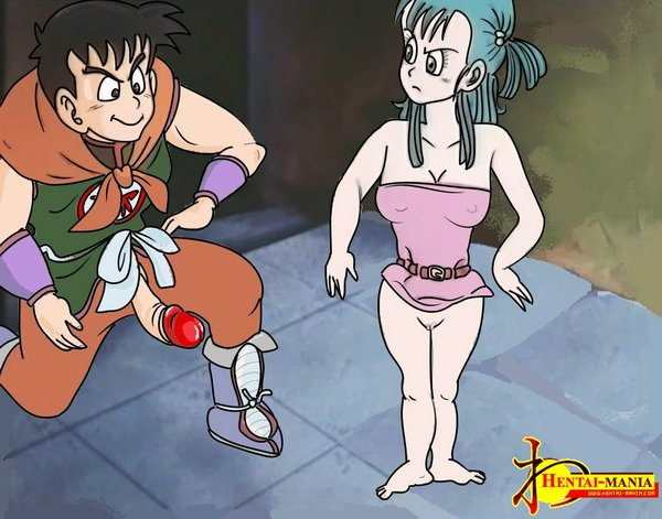 bulma briefs+yamcha